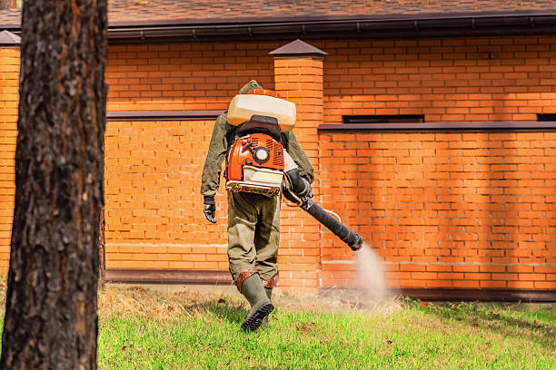 Bed Bug Clearance Verification and Documentation in Conover